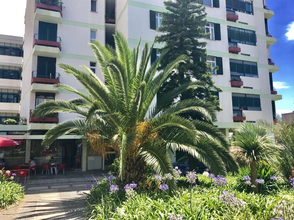Funchal Apartament Marina View With Parking Free المظهر الخارجي الصورة